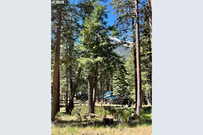 Forest Dell Ave, Wallowa Lake, OR 97846 - Photo 13