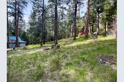 Forest Dell Ave, Wallowa Lake, OR 97846 - Photo 1