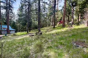 Forest Dell Ave, Wallowa Lake, OR 97846 - Photo 1