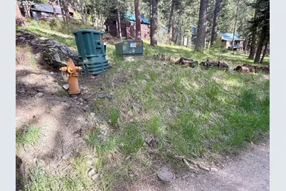 Forest Dell Ave, Wallowa Lake, OR 97846 - Photo 3