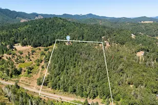 670 Old Homestead Rd, Oakland, OR 97462 - Photo 33