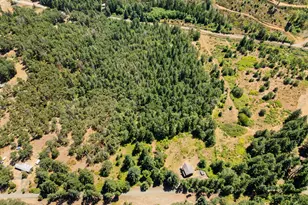 670 Old Homestead Rd, Oakland, OR 97462 - Photo 39