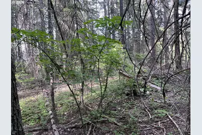 00 Winchester, Appleton, WA 98602 - Photo 7