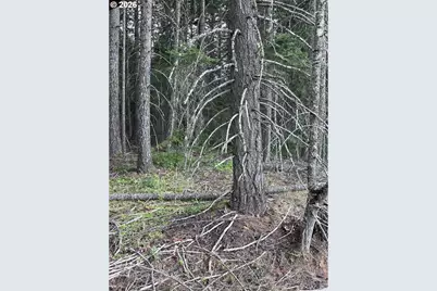 00 Winchester, Appleton, WA 98602 - Photo 11