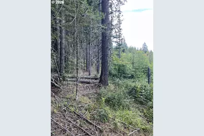 00 Winchester, Appleton, WA 98602 - Photo 3