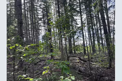 00 Winchester, Appleton, WA 98602 - Photo 9