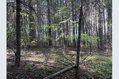 00 Winchester, Appleton, WA 98602 - Photo 5