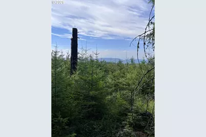 00 Winchester, Appleton, WA 98602 - Photo 1