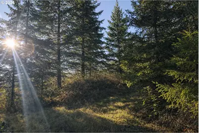 Erickson Rd, Eugene, OR 97402 - Photo 7