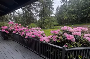 4386 NW Bramblewood Ct, Albany, OR 97321 - Photo 3