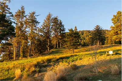Vantage Rd, Nehalem, OR 97131 - Photo 21