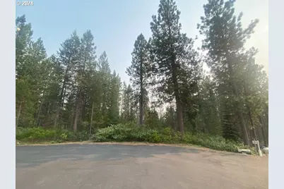 Snow Flake Ct #22, Crescent Lake, OR 97733 - Photo 7