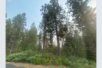 Snow Flake Ct #22, Crescent Lake, OR 97733 - Photo 3