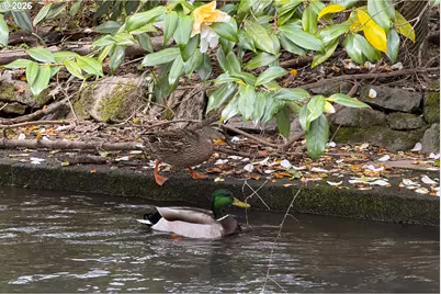 8333 SE 23rd Ave, Portland, OR 97202 - Photo 31