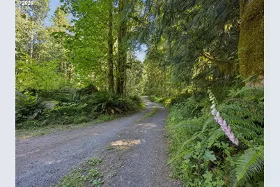 66295 E Crystal Creek Rd, Brightwood, OR 97011 - Photo 41