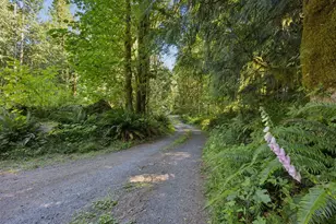 66295 E Crystal Creek Rd, Brightwood, OR 97011 - Photo 41