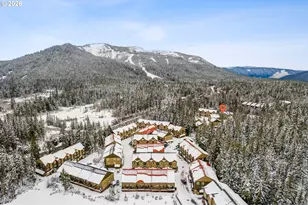 87786 E Creek Ridge Rd, Government Camp, OR 97028 - Photo 33