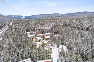 87786 E Creek Ridge Rd, Government Camp, OR 97028 - Photo 31