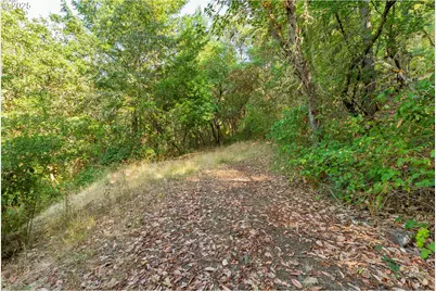 0 NE Carmen St, Roseburg, OR 97470 - Photo 11