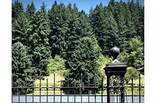 2492 SE 67th Ave, Portland, OR 97206 - Photo 19