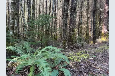 00 SE Wildcat Mountain Dr, Sandy, OR 97055 - Photo 15