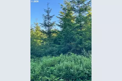 00 SE Wildcat Mountain Dr, Sandy, OR 97055 - Photo 1