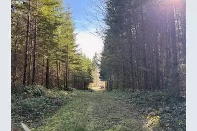 00 SE Wildcat Mountain Dr, Sandy, OR 97055 - Photo 27