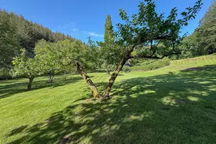 96258 Coos Sumner Ln, Coos Bay, OR 97420 - Photo 43