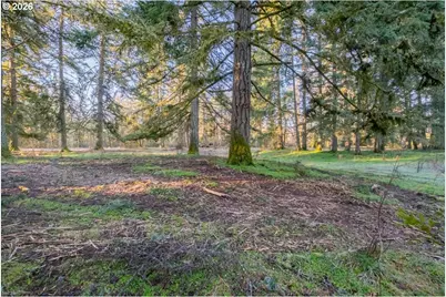 11997 Towers Rd, Stayton, OR 97383 - Photo 3