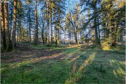 11997 Towers Rd, Stayton, OR 97383 - Photo 17