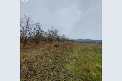 Sw Hardebeck Rd, Gaston, OR 97119 - Photo 7
