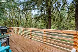 43599 Big Fall Creek Rd, Fall Creek, OR 97438 - Photo 31