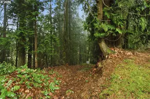 13102 NW 8th Way, Vancouver, WA 98685 - Photo 27