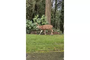 13102 NW 8th Way, Vancouver, WA 98685 - Photo 27