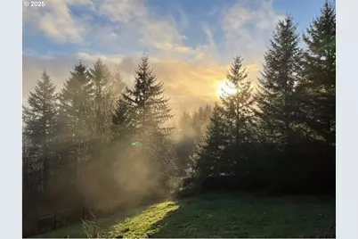 25313 NE 227th St, Battle Ground, WA 98604 - Photo 7