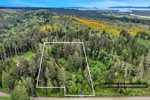 Ziak-Gnat Creek Ln, Astoria, OR 97103 - Photo 1