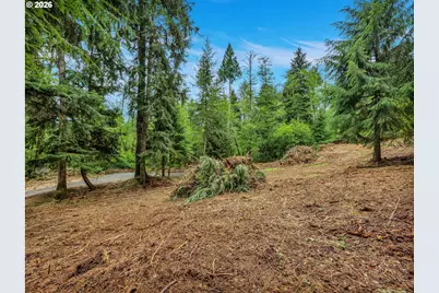 Ziak-Gnat Creek Ln, Astoria, OR 97103 - Photo 21