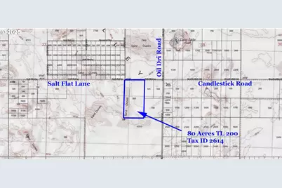 Salt Flat Lane #TL 200, Christmas Valley, OR 97641 - Photo 7