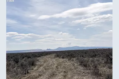 Salt Flat Lane #TL 200, Christmas Valley, OR 97641 - Photo 29