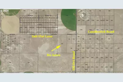 Salt Flat Lane #TL 200, Christmas Valley, OR 97641 - Photo 5