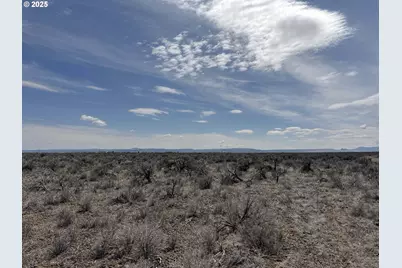 Salt Flat Lane #TL 200, Christmas Valley, OR 97641 - Photo 21