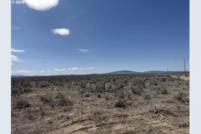 Salt Flat Lane #TL 200, Christmas Valley, OR 97641 - Photo 3