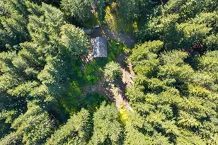 0000 4 Peaks Dr, Cougar, WA 98616 - Photo 5