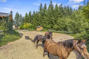 891 Young Rd, Kelso, WA 98626 - Photo 27