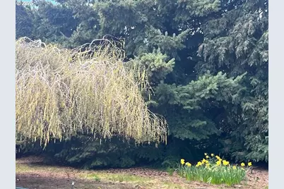 870 Hobbs Rd, Hood River, OR 97031 - Photo 41