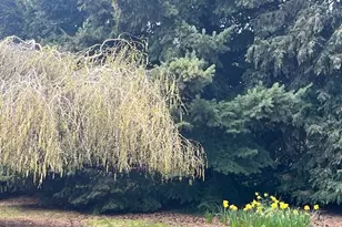 870 Hobbs Rd, Hood River, OR 97031 - Photo 41