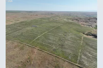 1439 Oasis Rd, Touchet, WA 99360 - Photo 3