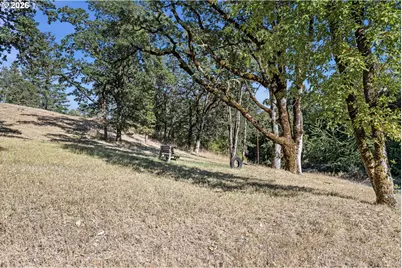 785 Mathis Hill Rd, Yoncalla, OR 97499 - Photo 45