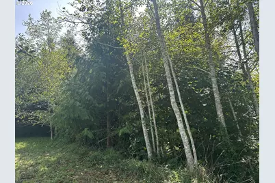 Ocean View Dr #TL07400, Florence, OR 97439 - Photo 17