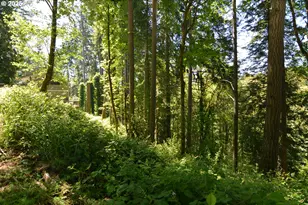 2427 Archwood Dr, Longview, WA 98632 - Photo 1